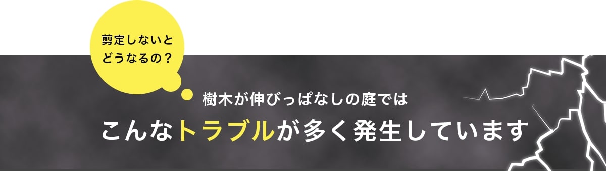 剪定しないとどうなるの？樹木が伸びっぱなしの庭ではこんなトラブルが多く発生しています