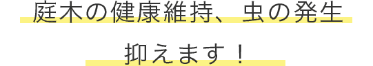 庭木の健康維持、虫の発生 抑えます！