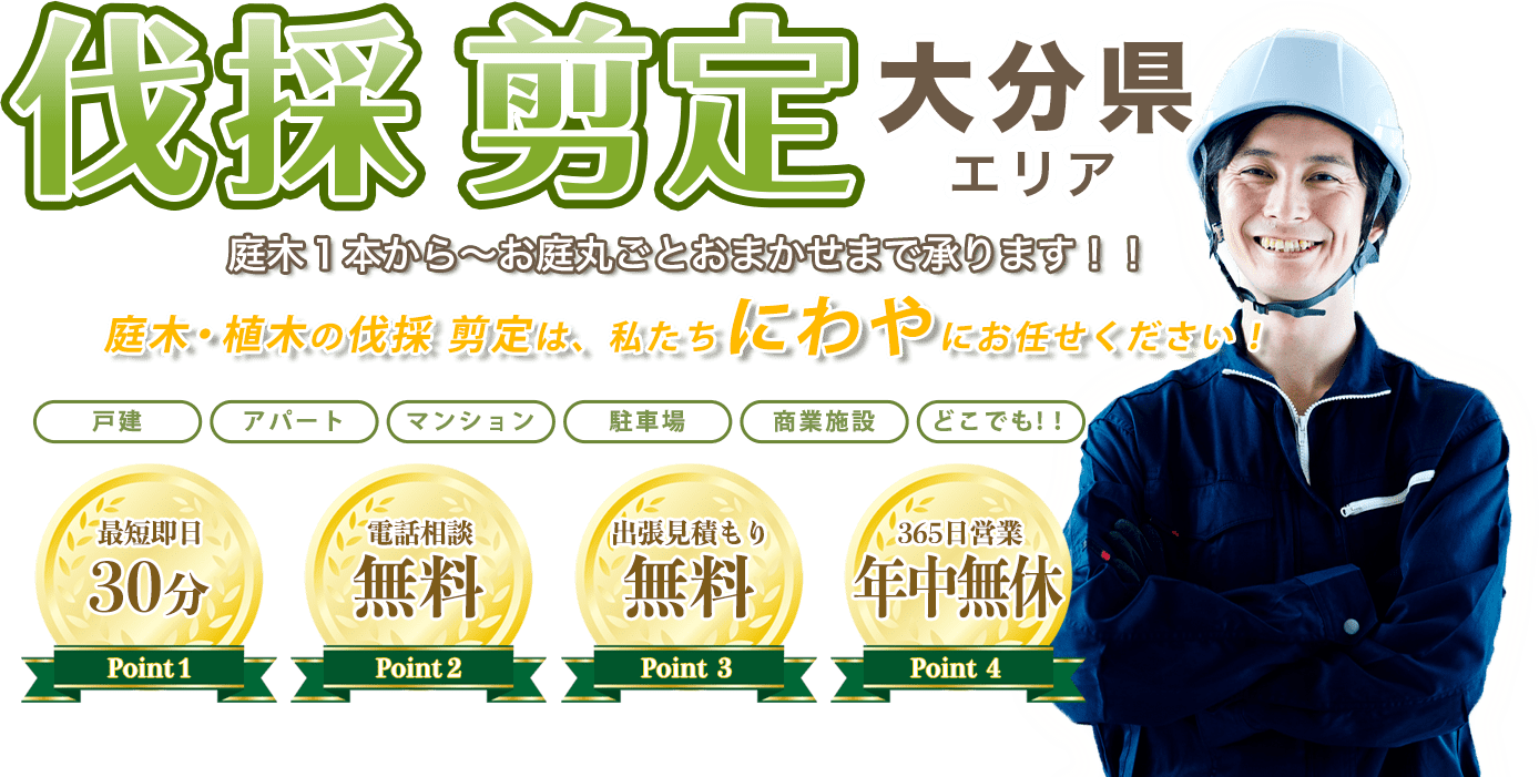 お庭のお手入れ まるごとお任せ！低価格で親切丁寧！20年の実績が信頼の証