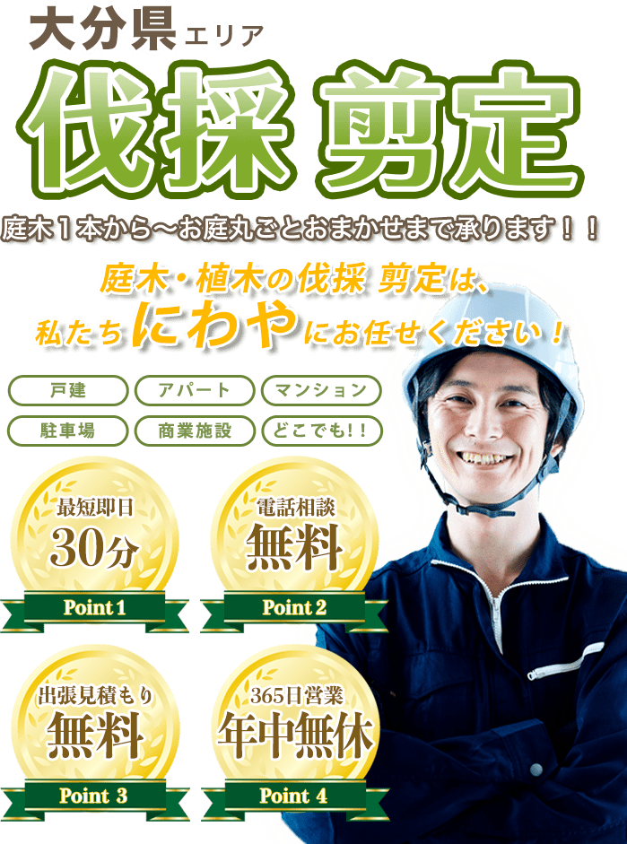 お庭のお手入れ まるごとお任せ！低価格で親切丁寧！20年の実績が信頼の証